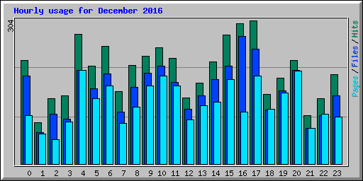 Hourly usage for December 2016
